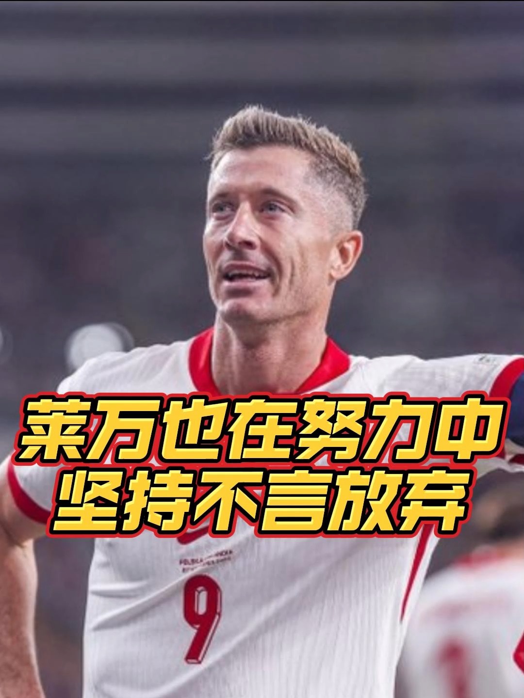 芬兰球赛 芬兰球赛